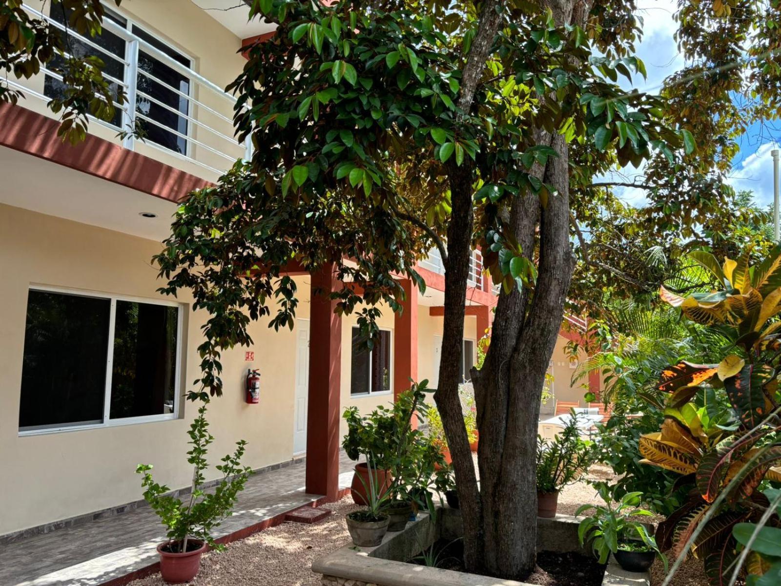 Casa Del Cenote Otel Valladolid  Dış mekan fotoğraf